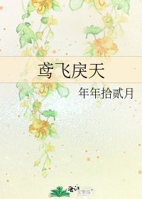 鸢飞戾天